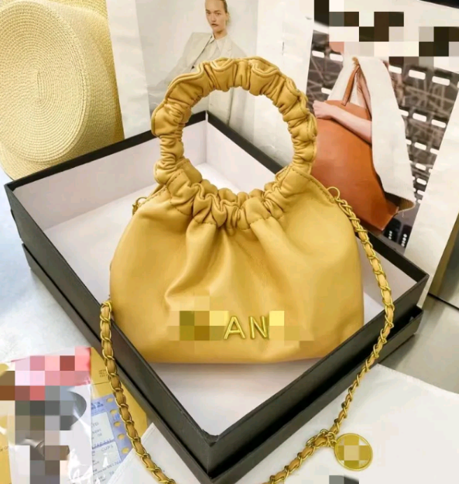 Fancy 2024 Mini Luxury Fashion Purse