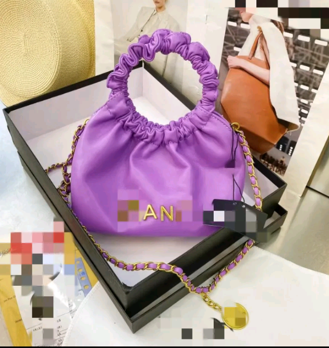 Fancy 2024 Mini Luxury Fashion Purse