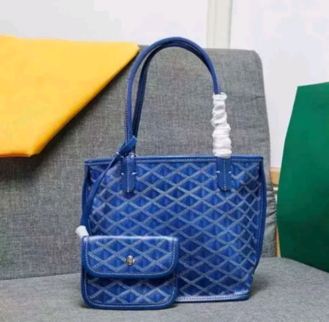 2025 Goyard Mini Tote Bag