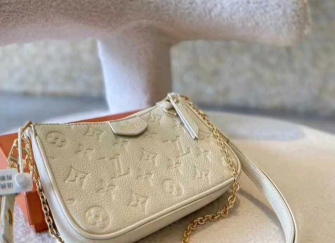 LV Light Travel Handbag