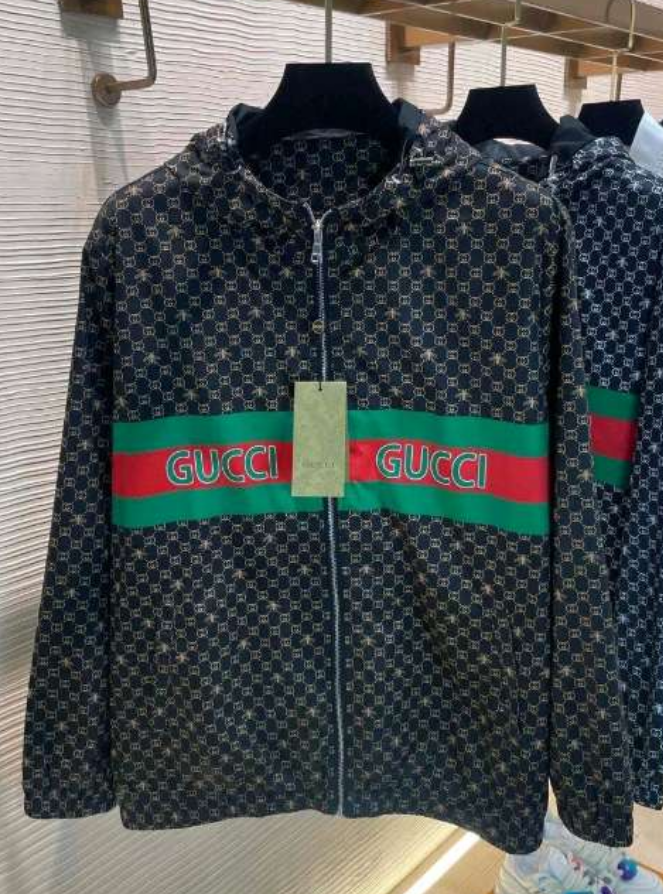 2025 Gucci Stylish Designer Looking Hoodie Jacket