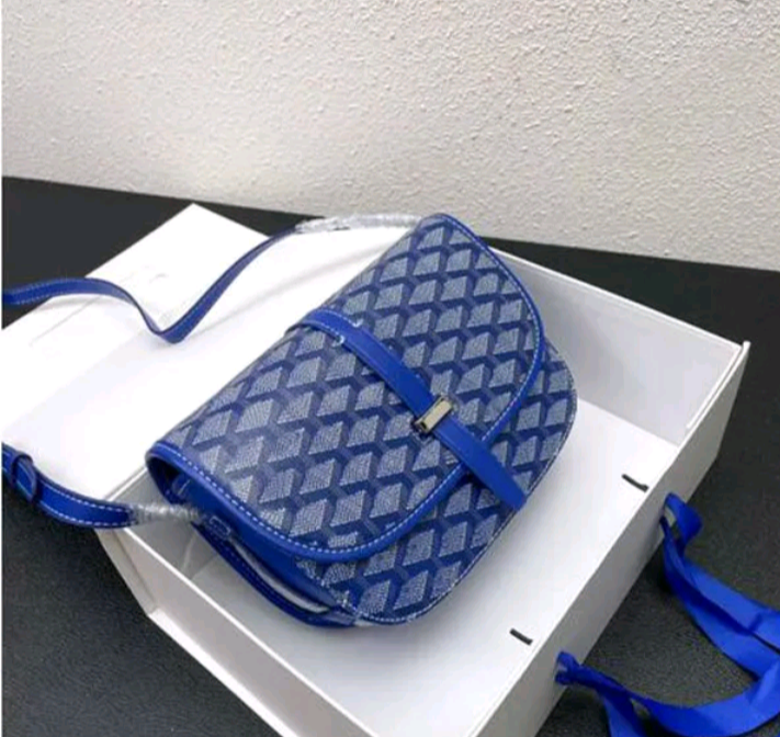 Goyard Small Mini Luxury Crossbody Bag