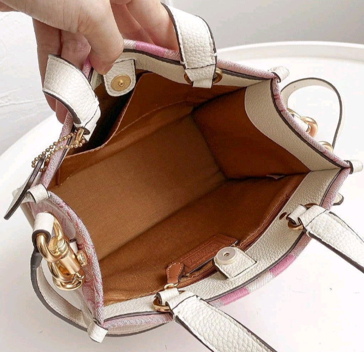 Coach Luxury Fabulous Tote Handbag