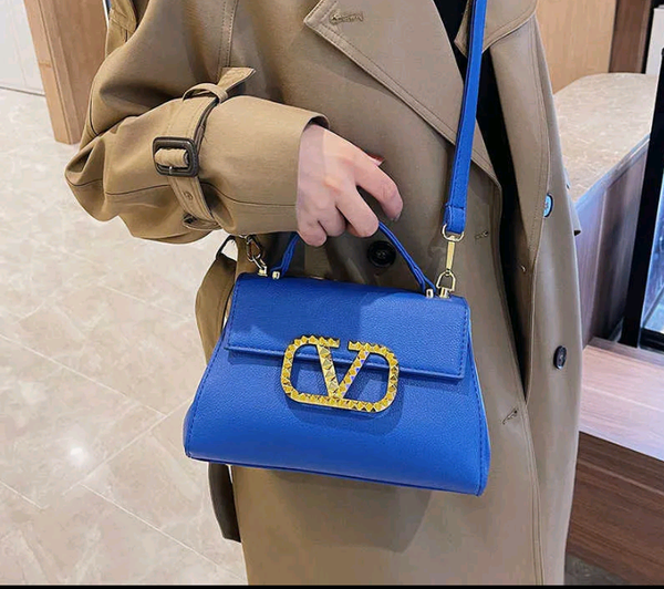 Valentino Luxury Designer Bag