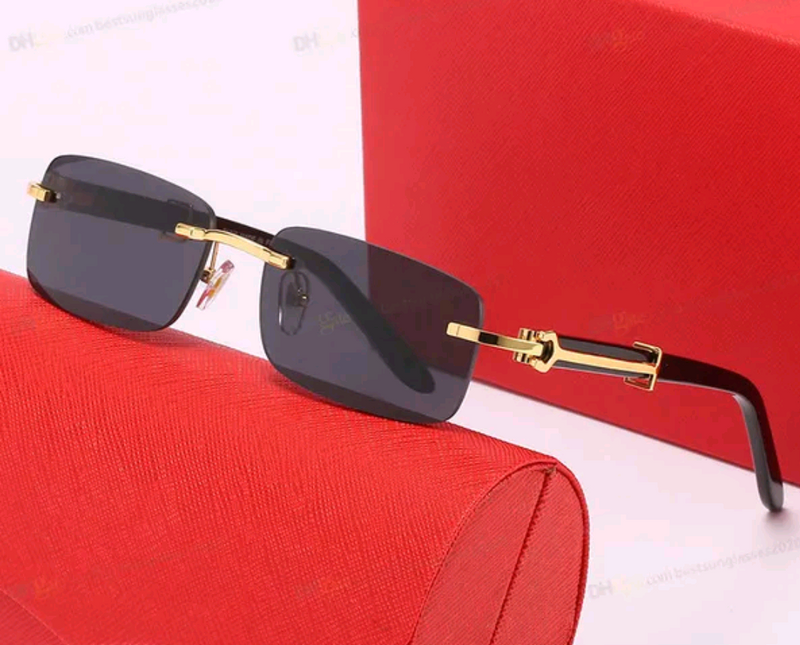 Sunglasses with Elongated C de Cartier motif