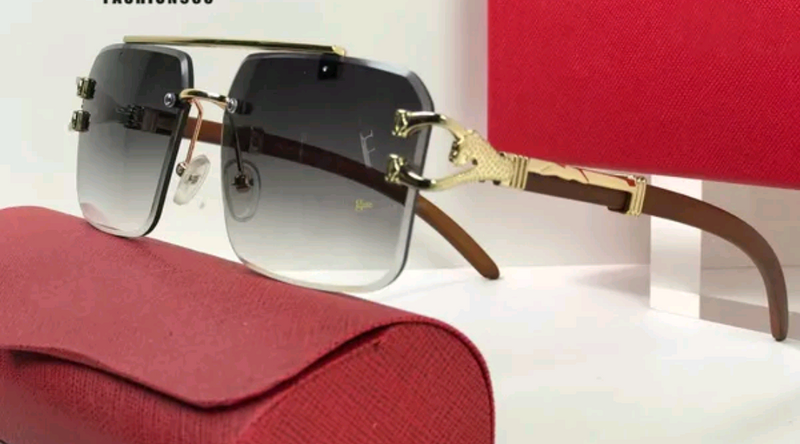 Sunglasses with Elongated C de Cartier motif