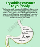 Fat Burner Lose Weight Thin Body Appetite Suppressant Metabolic Increase Reduce Belly Fat Get perfect body Slimming Health - TimelessGear9